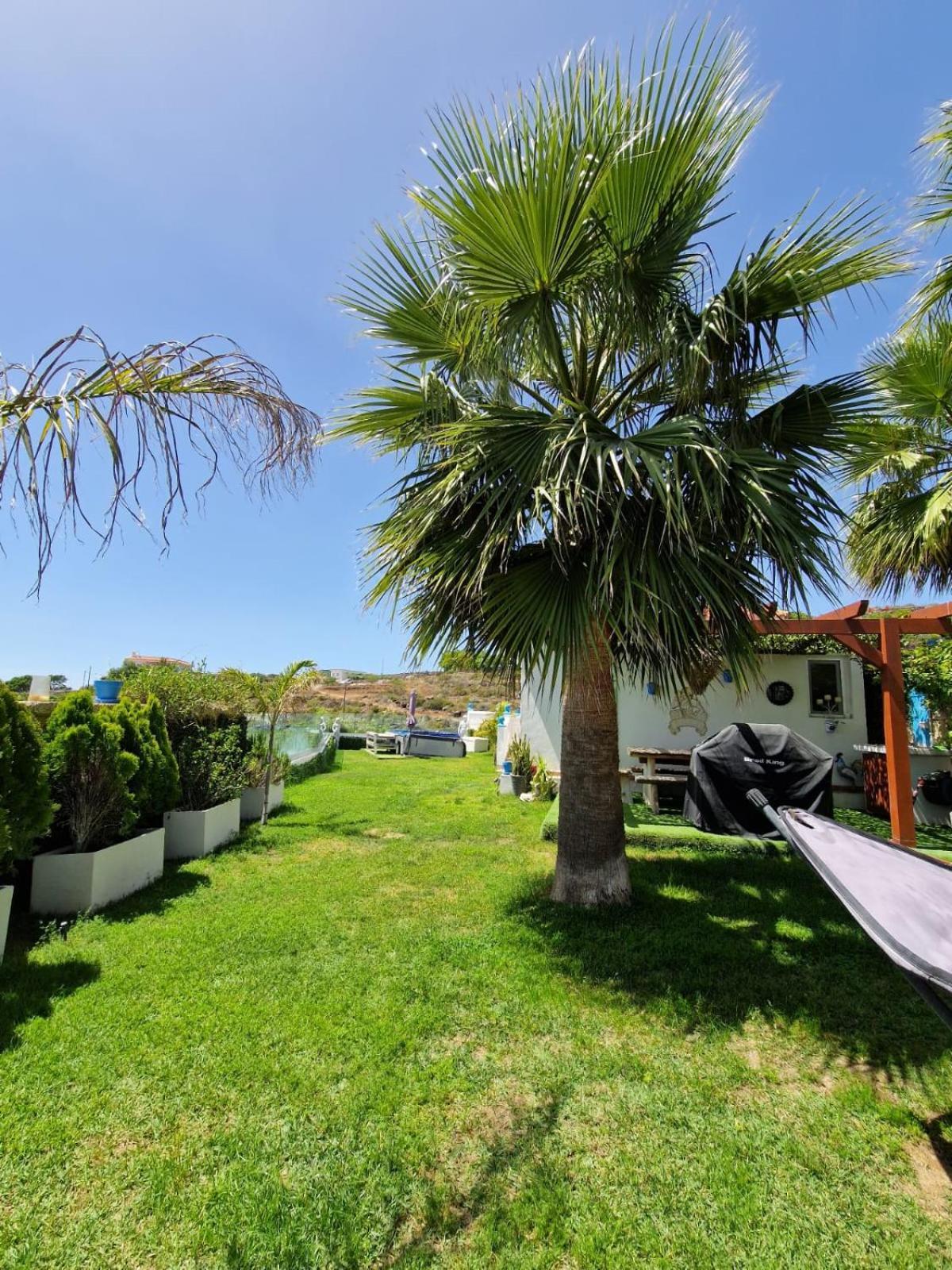 Escape To Finca Conejo, Typical Canarian House Private Jacuzzi, Sauna, Gym, Finca Conejo Taucho By Aqua Vista Tenerife 아데제 외부 사진
